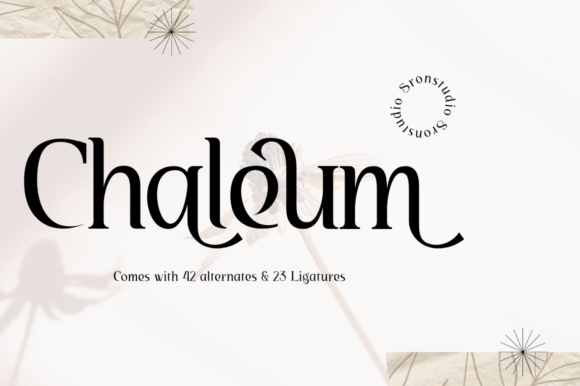 Chaleum Font for Modern Branding and Professional Design